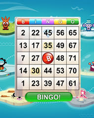 Bingo Island